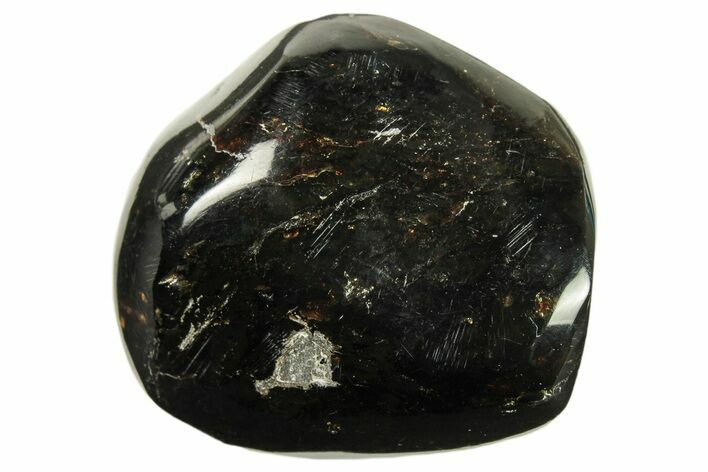 Polished Chiapas Amber ( g) - Mexico #274444